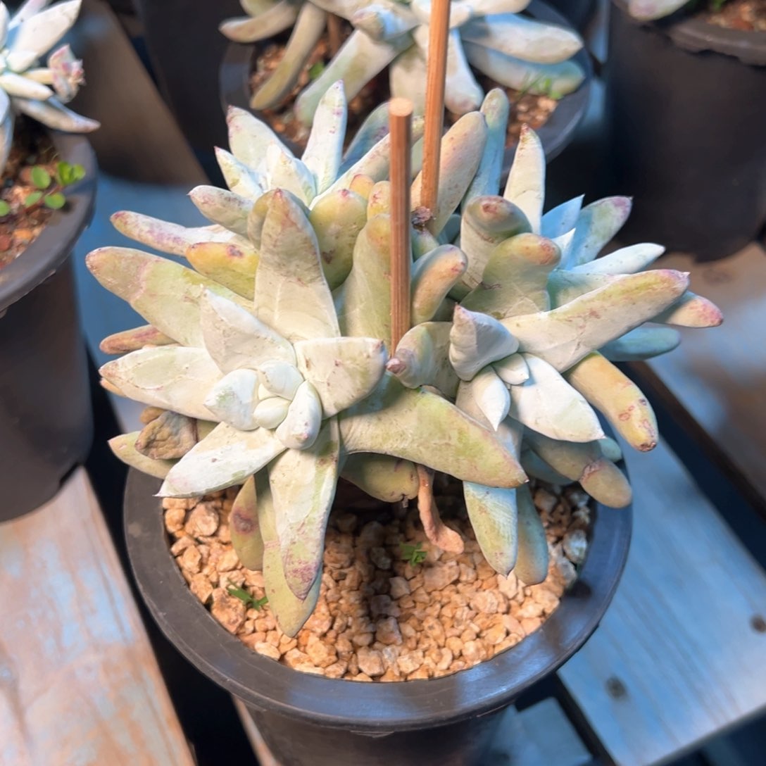 7937哈哈哈哈哈哈哈哈哈