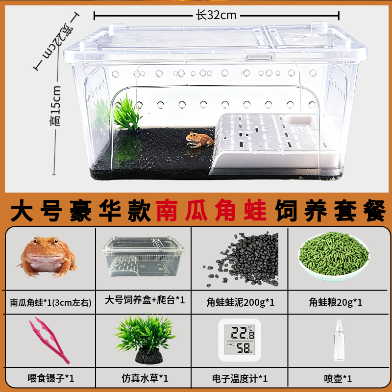 角蛙活体宠物黄金角蛙绿蛙角蛙泥角蛙粮饲养盒蛙饲料宠物青蛙活物