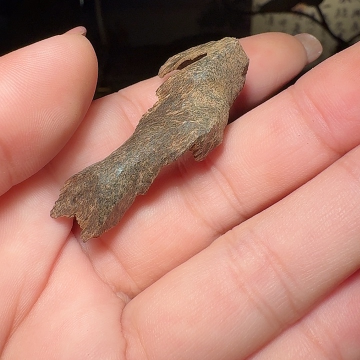 沉香碎屑沉香海南沉水鸡母漏熏香料1.6克