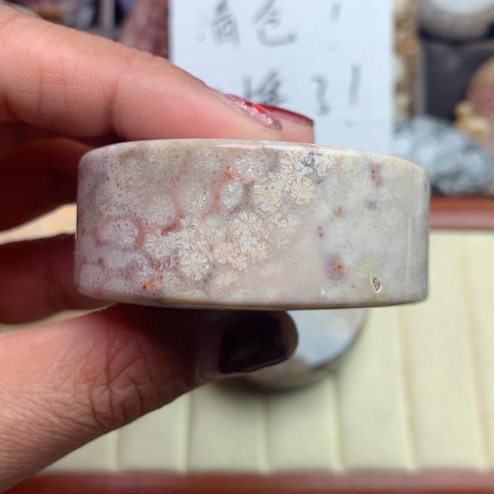硅化珊瑚（珊瑚玉）颈饰未镶嵌