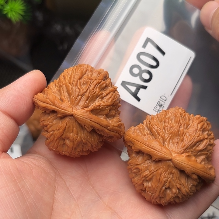 把件桃核核桃白狮子45