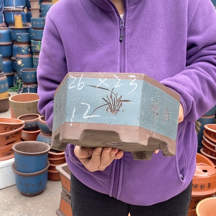 紫砂花盆盆栽花卉苗木种植