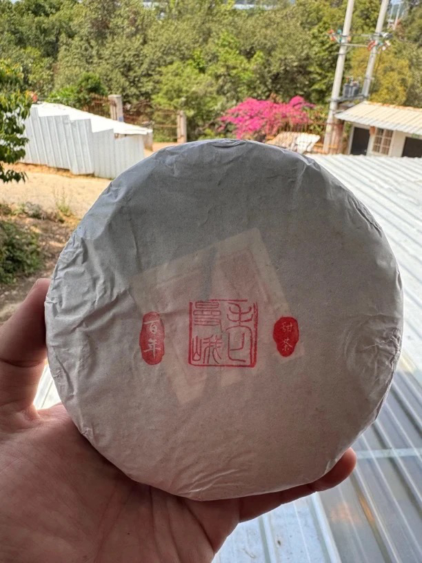 2022头春头采《老曼峨百年甜茶》生普200克/饼