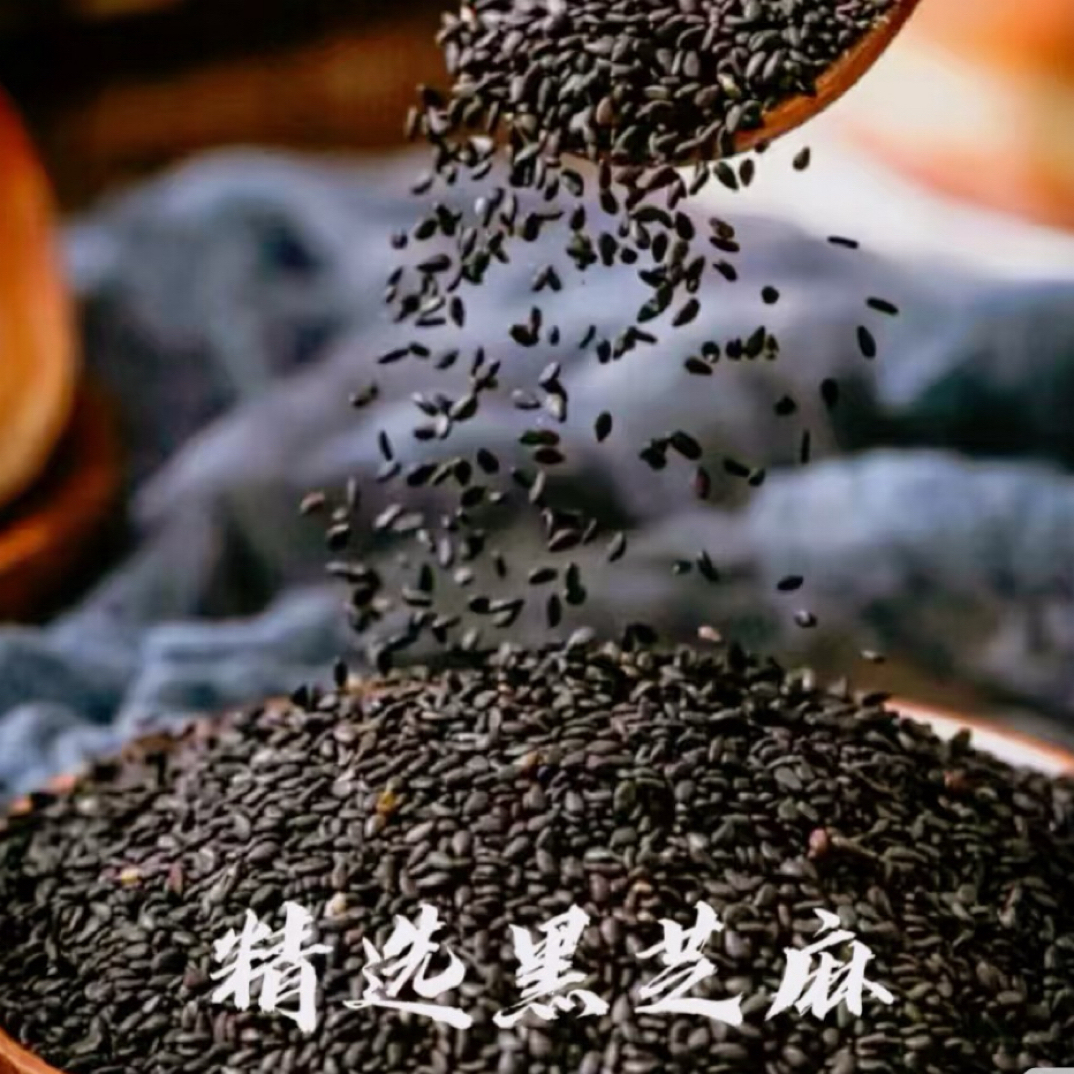 （厂家直供）黑芝麻新货颗粒饱满无沙免洗带皮熟芝麻烧烤食品烘焙
