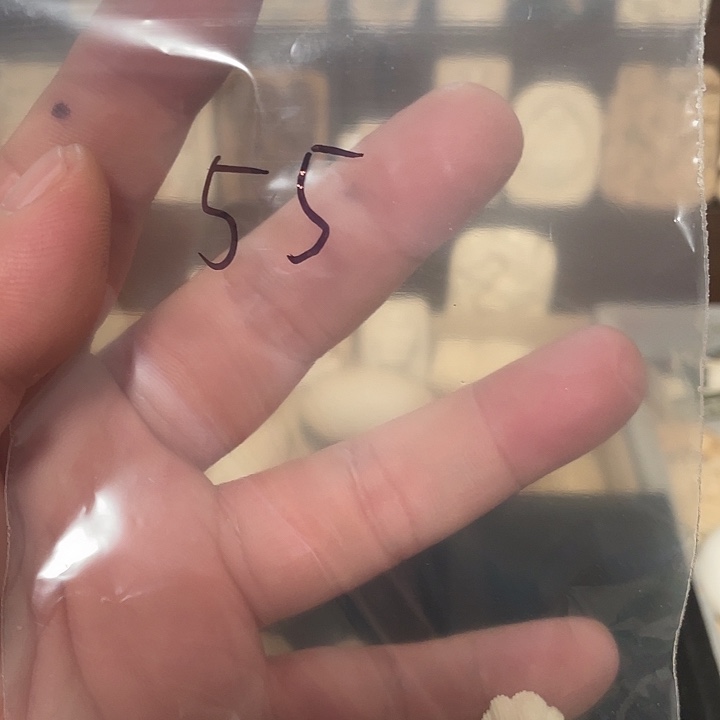 桔****其他猛犸象牙天然猛犸牙雕刻品