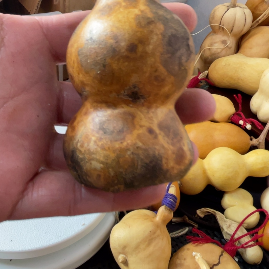 _****葫芦葫哈哈哈哈哈哈哈哈