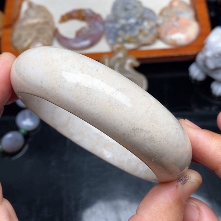 硅化珊瑚（珊瑚玉）颈饰未镶嵌60,5