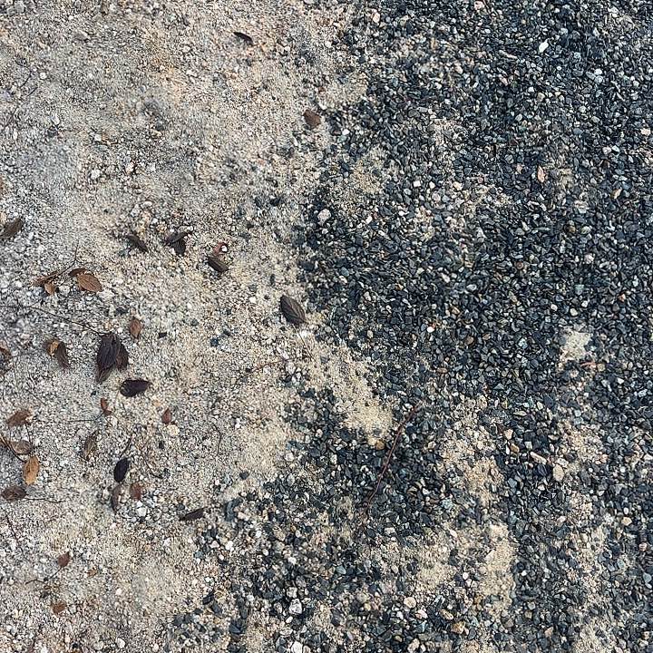 一***北无花朵哈哈哈哈哈哈