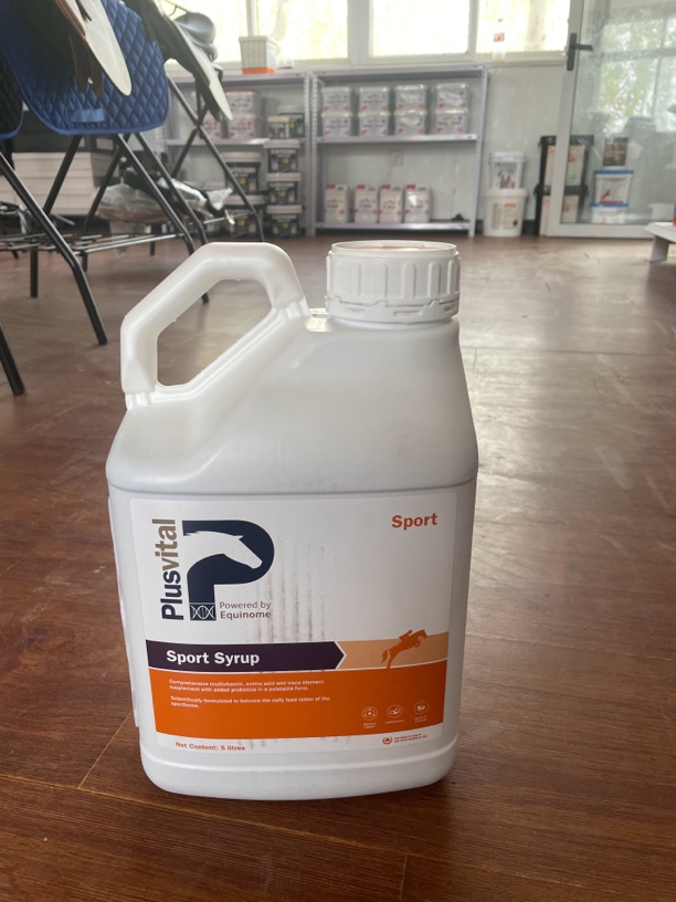 爱尔兰进口运动糖浆赛马障碍马耐力马