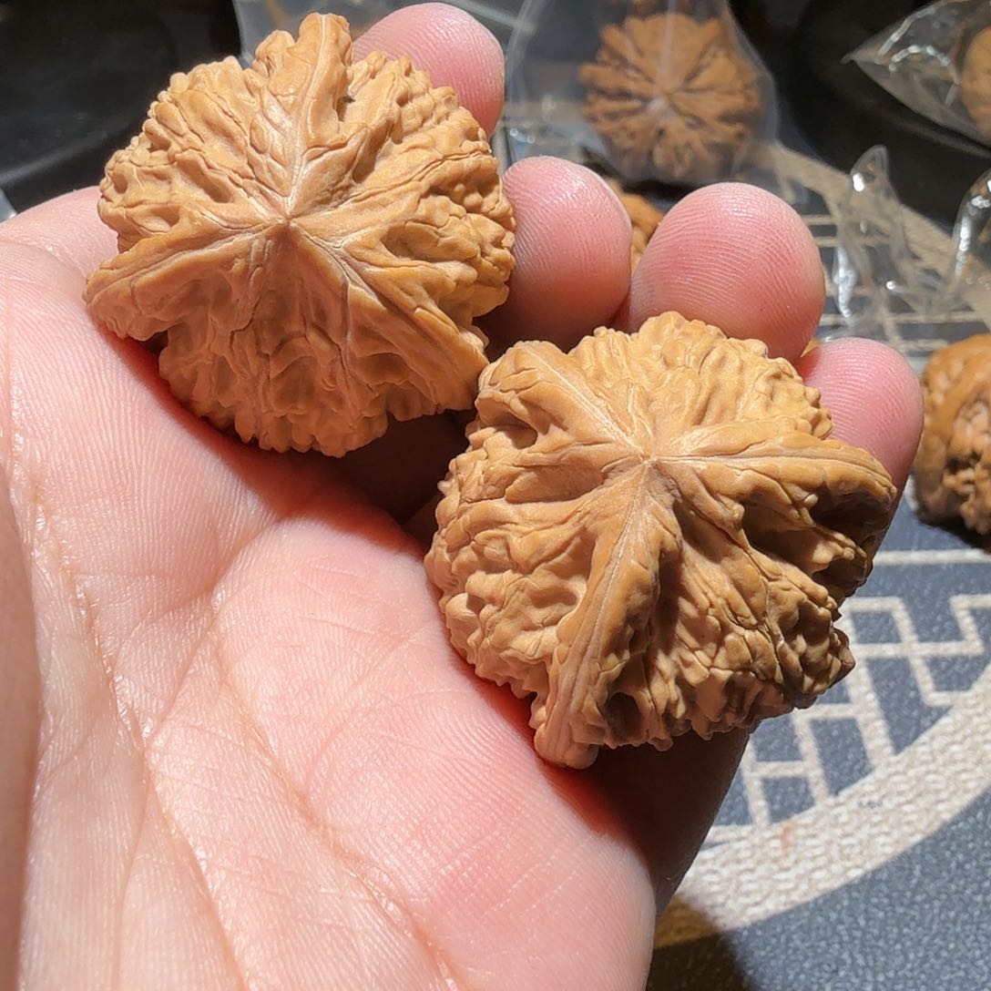 文玩核桃把件W****?御龙