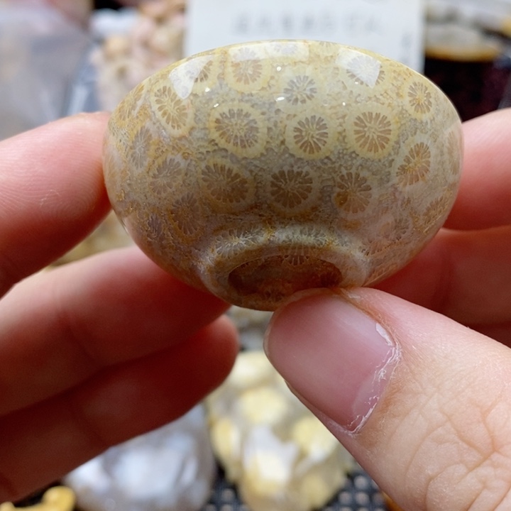 石英质玉颈饰未镶嵌