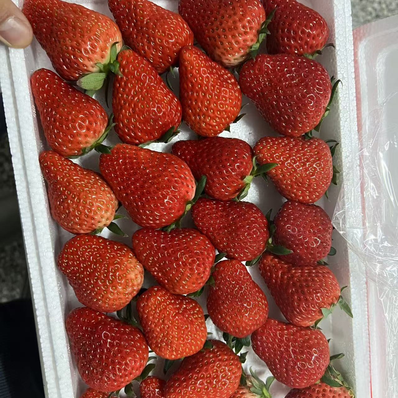 久久草莓3盒（3斤）