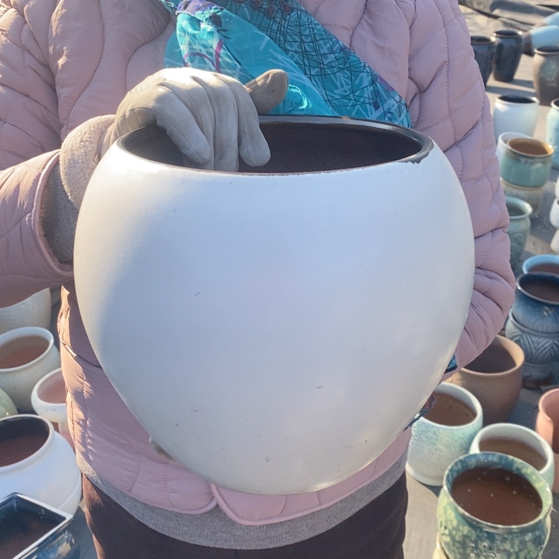 红陶口20高22～～～