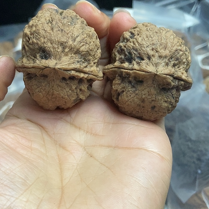 文玩核桃把件云南铁核桃基地58