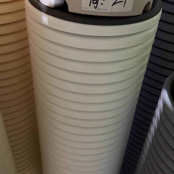 四季4号纯白无托6个