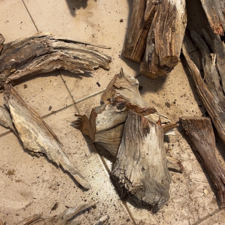 彭***琪有机玻璃太行崖柏