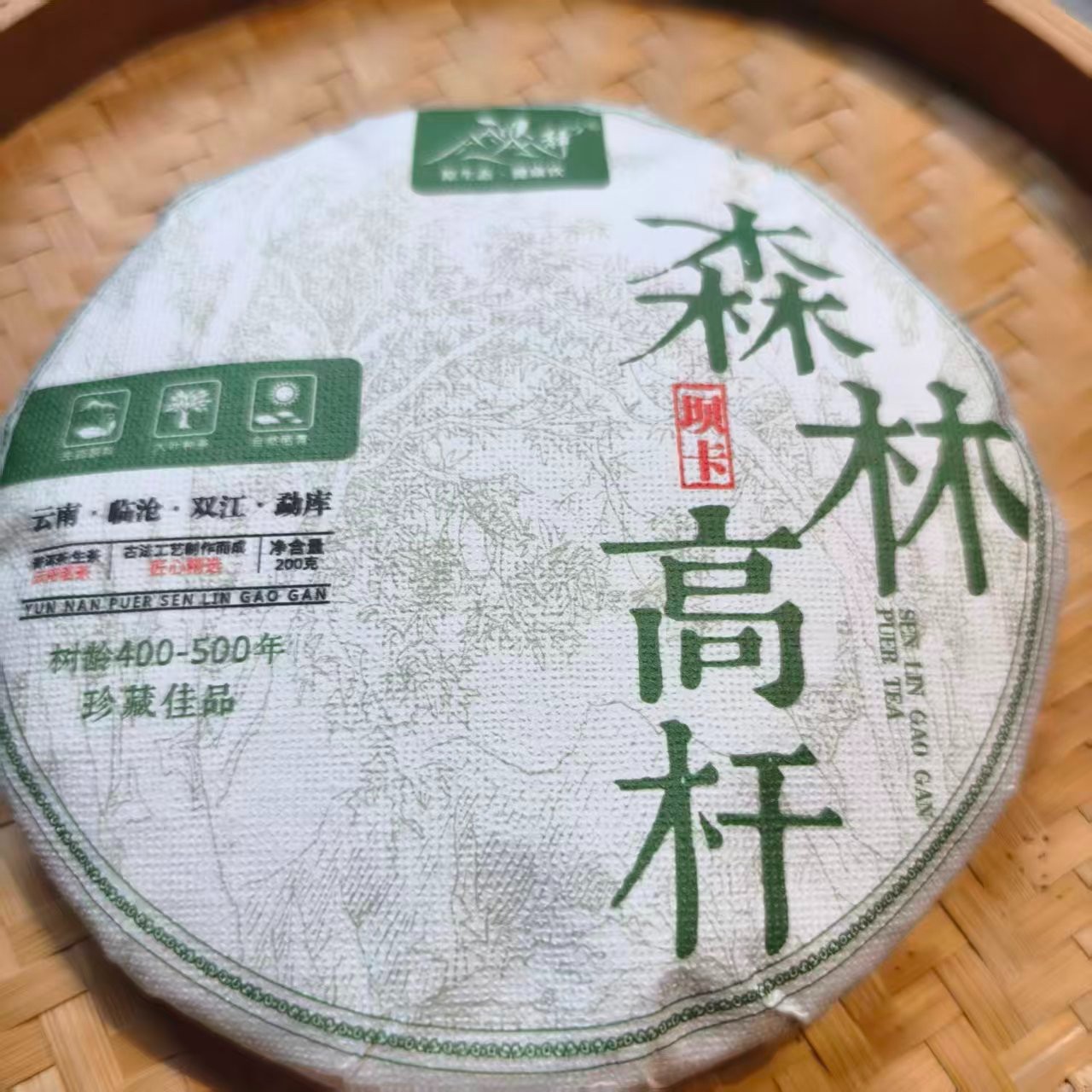 濮静2024年：森林高杆春茶200克饼