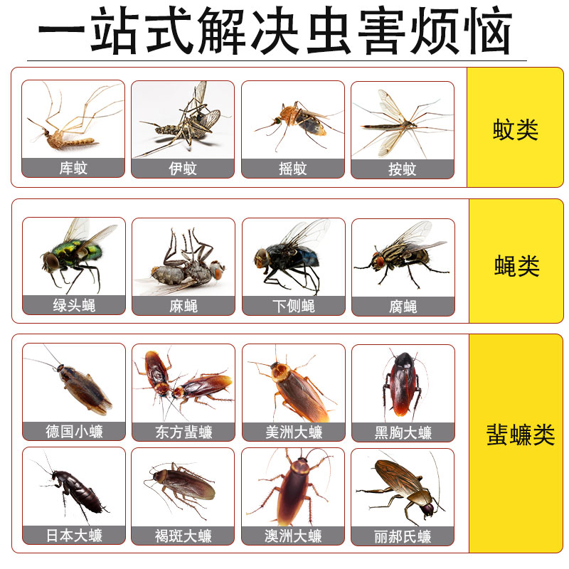 【飞虫克星】下水道杀虫剂专用灭蝇神器地漏管道家用除杀蜚蠊蚊虫 图片 3