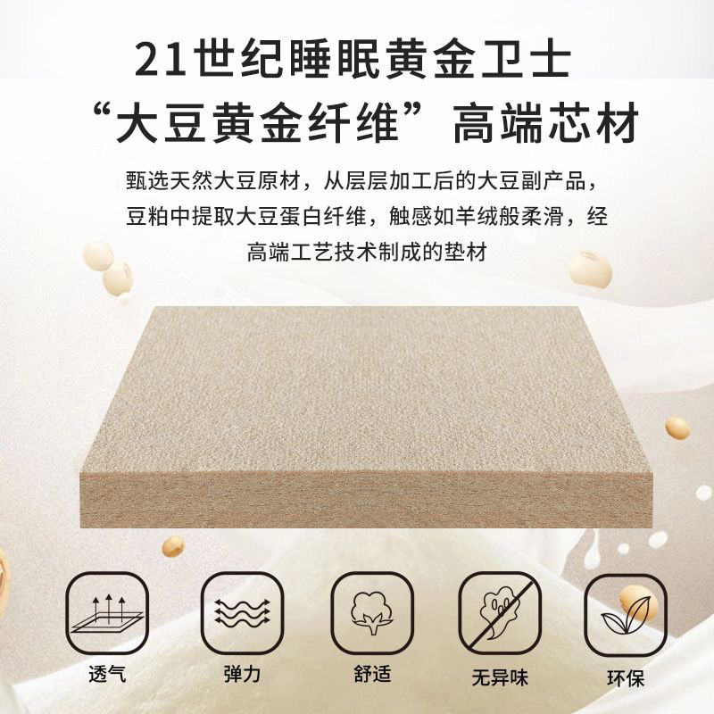 床垫定制软硬适中透气加厚两用环保拆卸