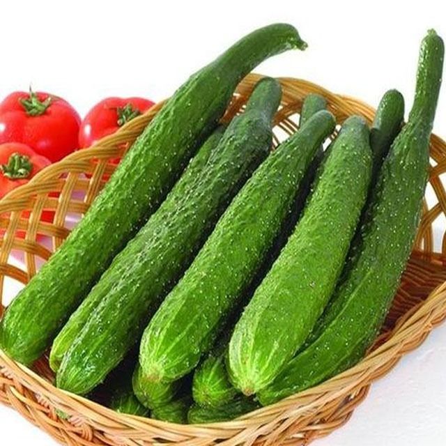  新鲜刺黄瓜 约500-600g