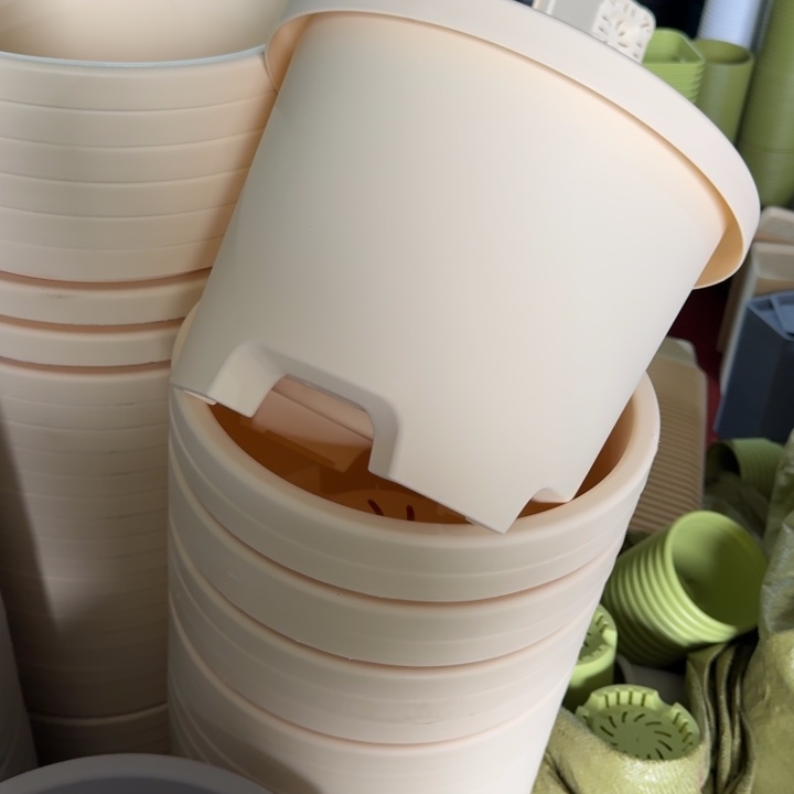 球根32口径5个无托米黄