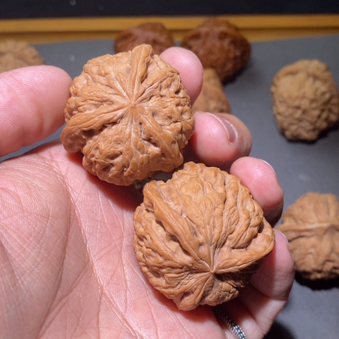 h***4木质核桃核桃核桃核桃