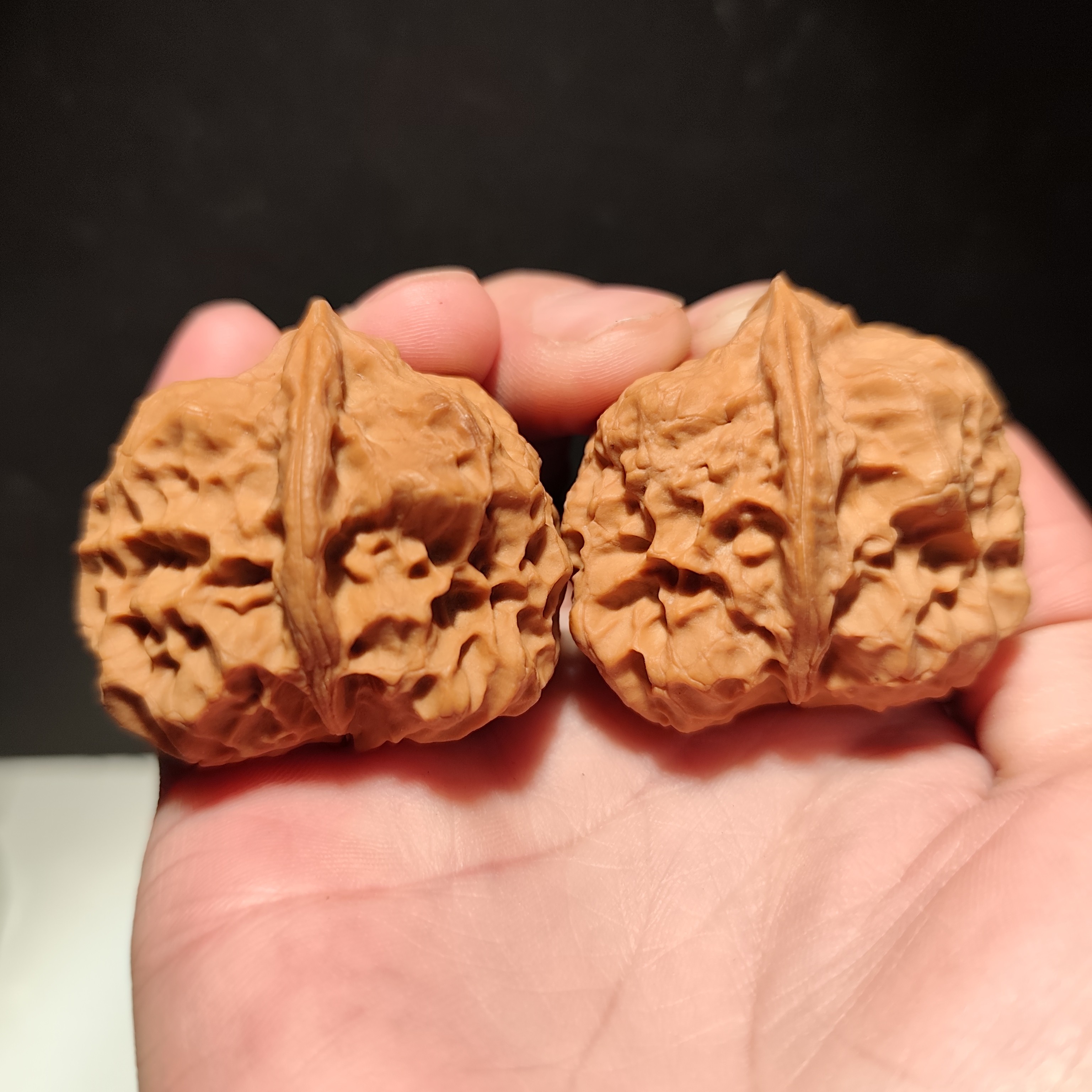 068号42+云南铁核桃至尊龙骨带阴皮开背龙脊