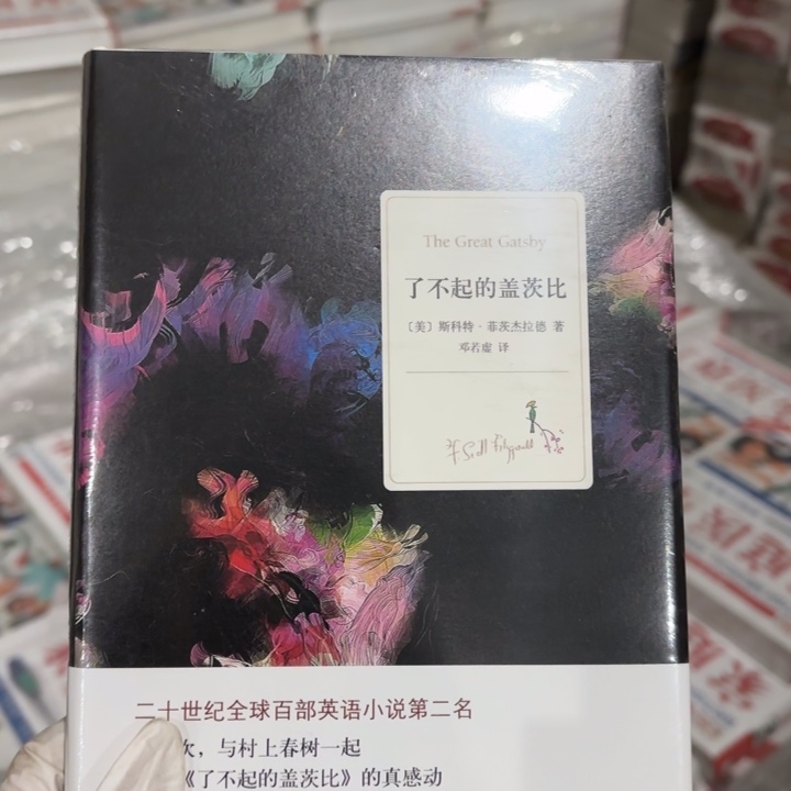 了不起的盖茨比 闪购8