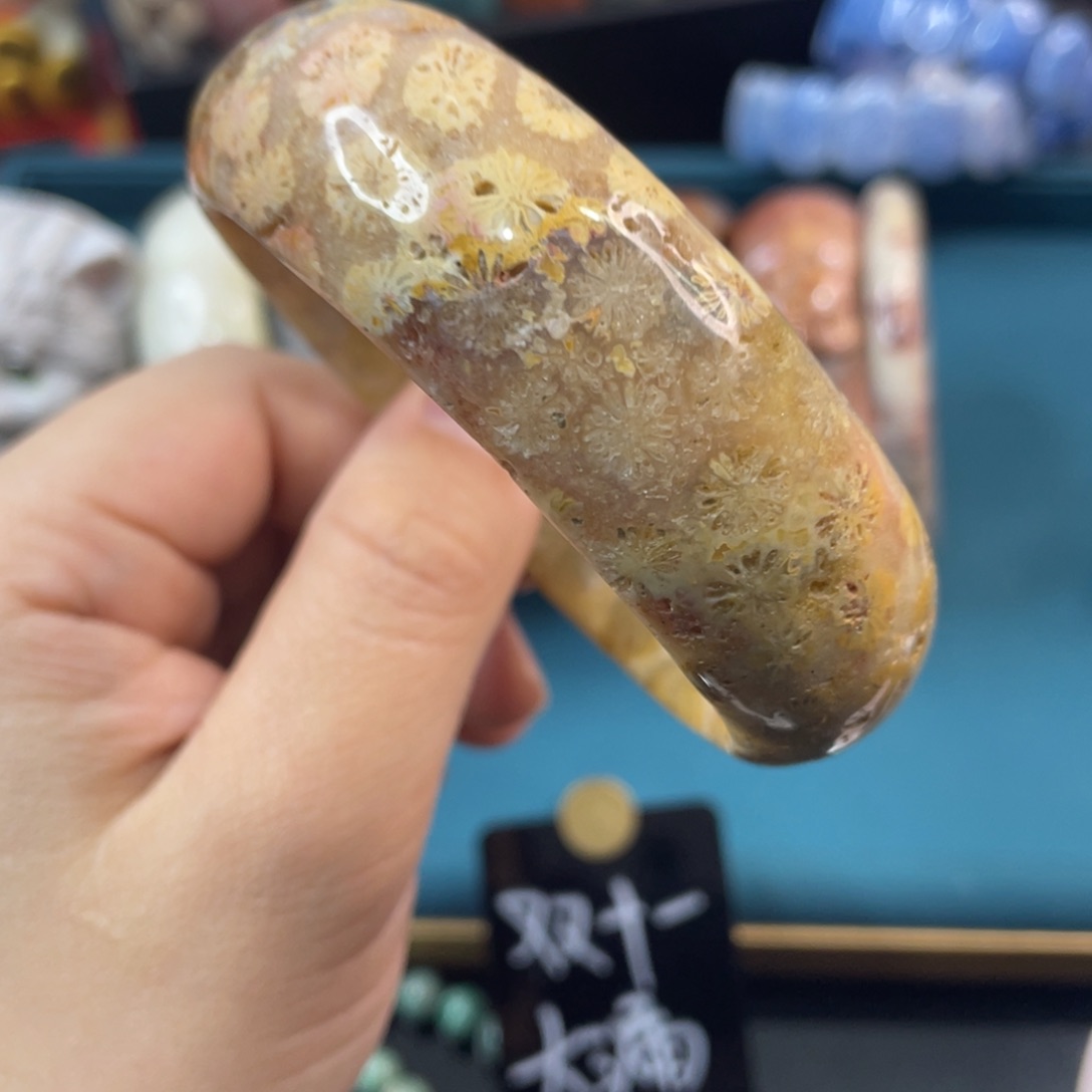 未镶嵌手镯硅化玉