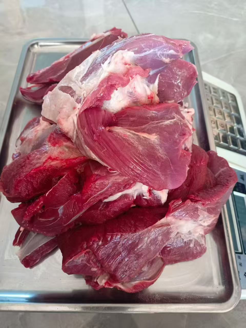 5斤装 3斤装 吉林 鹿肉新鲜 鹿场直发