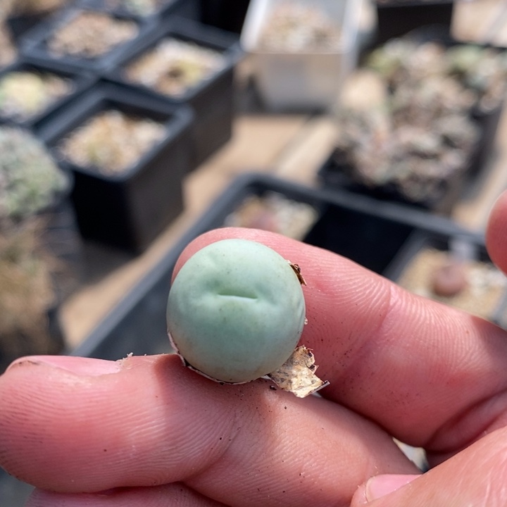 129一个一个一个