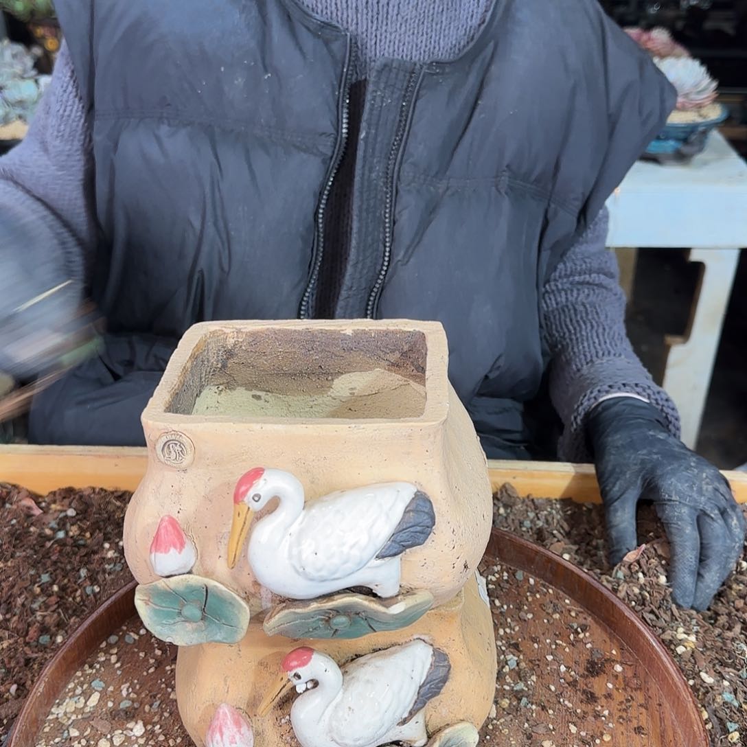 盆，2个98          瑕盆