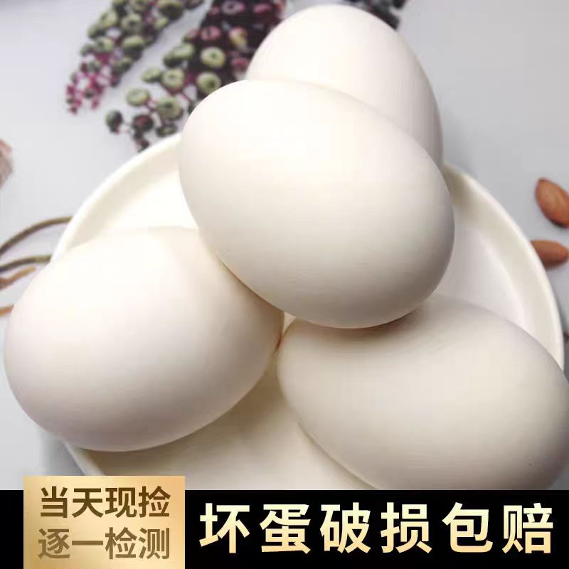 新鲜农家散养土鹅蛋纯天然营养丰富