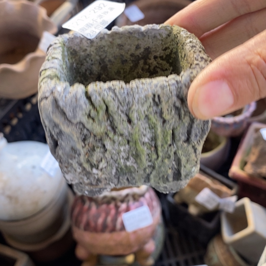 292号多肉盆口径5