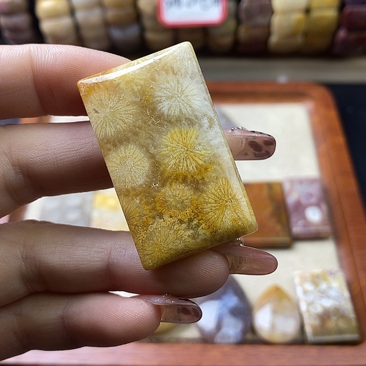 硅化珊瑚（珊瑚玉）未镶嵌颈饰