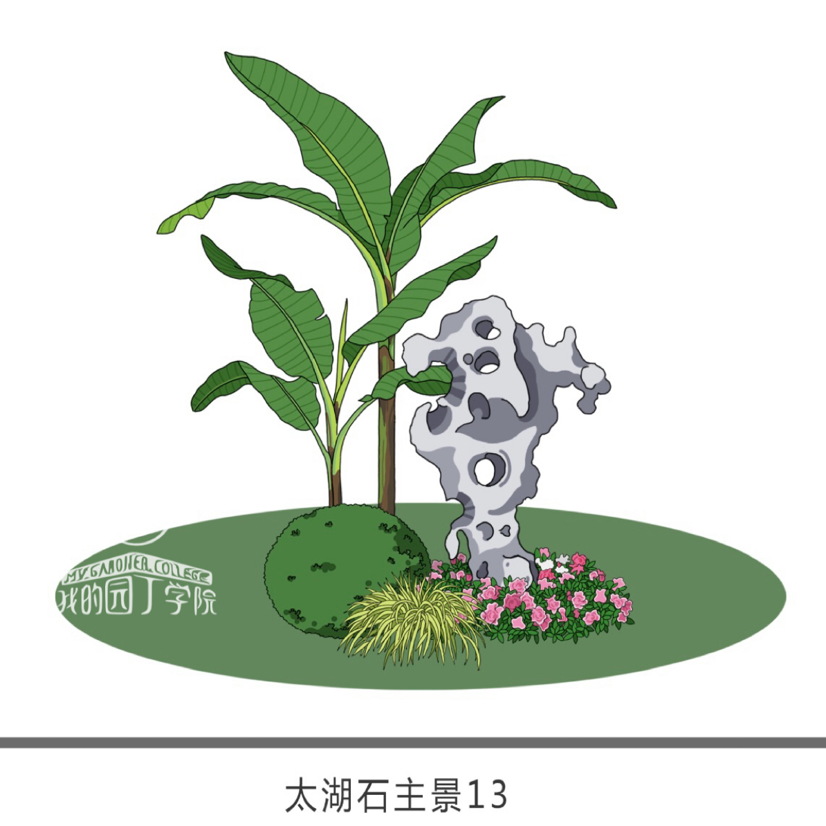 太湖石景观植物造景适用庭院好养护