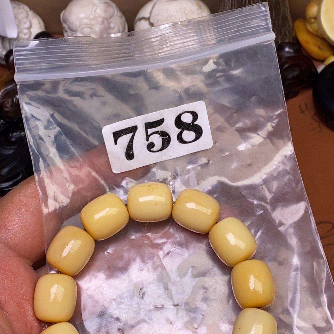 其他驼骨人工样子