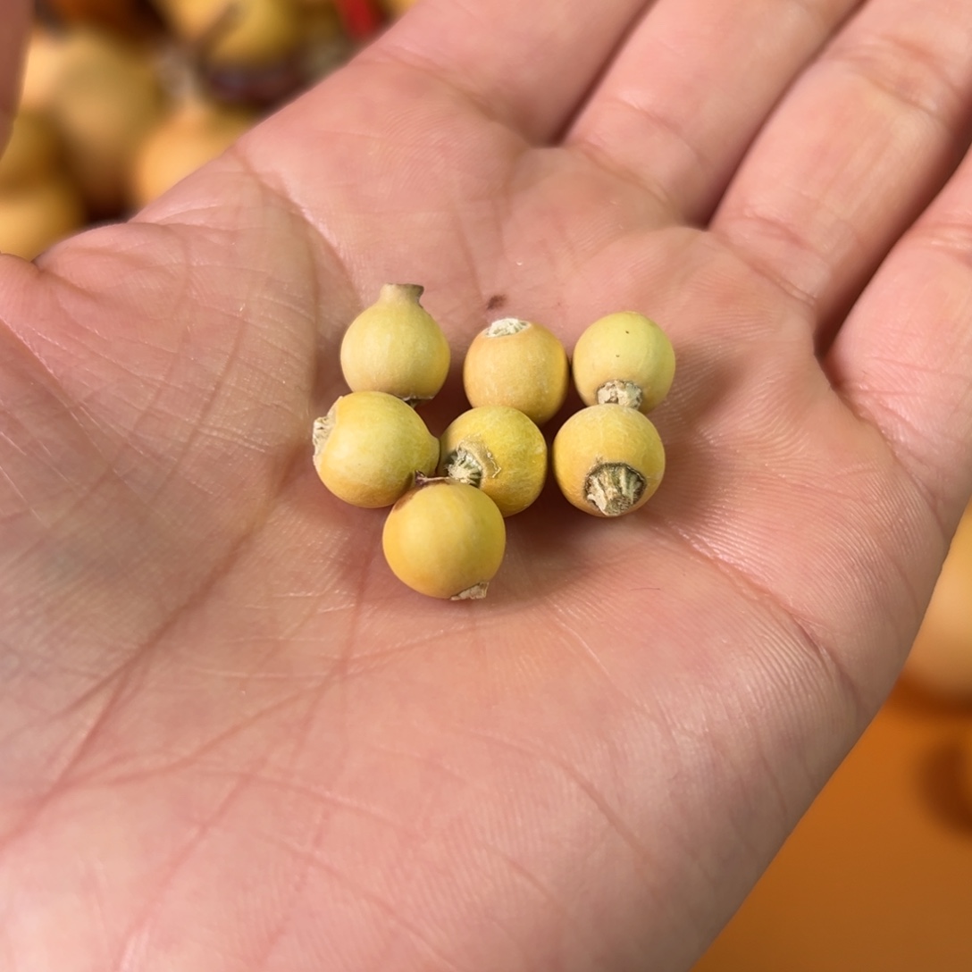 *****葫芦直播间专属葫芦链接