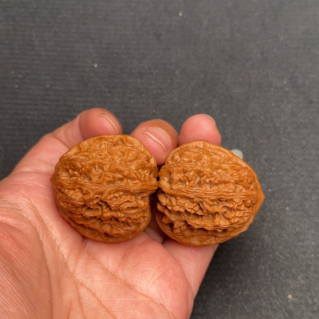 桃核把件36×36全品蓟县红马蹄XM1117