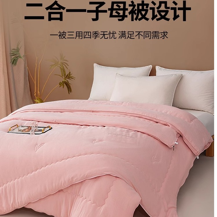 被子被芯二合一子母被轻奢家用防螨舒适透气大豆纤维春秋加厚冬被