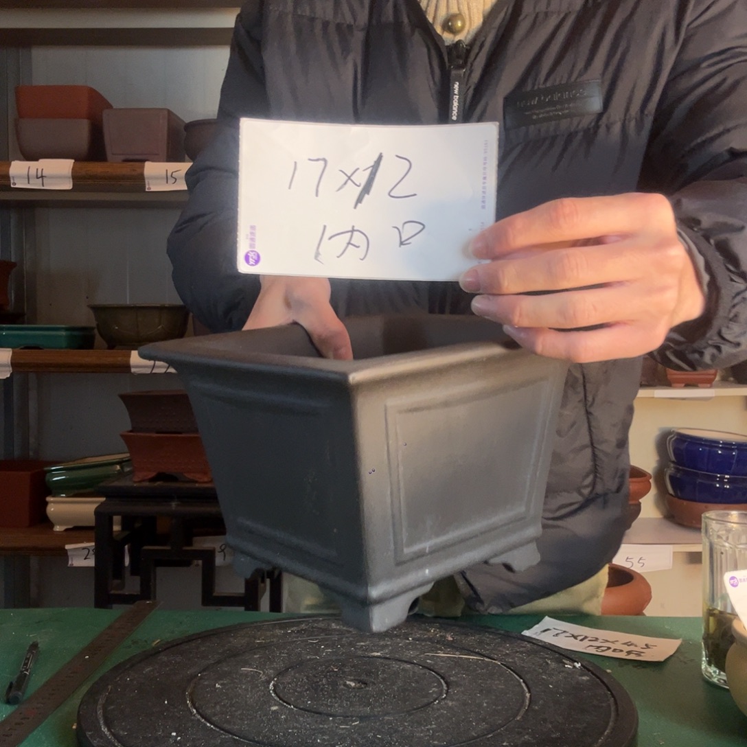 VCD发v个反弹广告v过