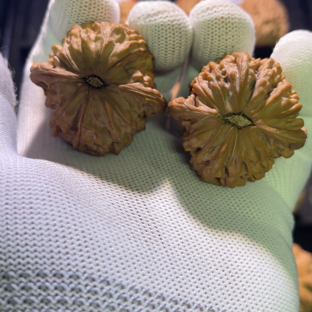 郝*秦皇岛山地果全品—-69