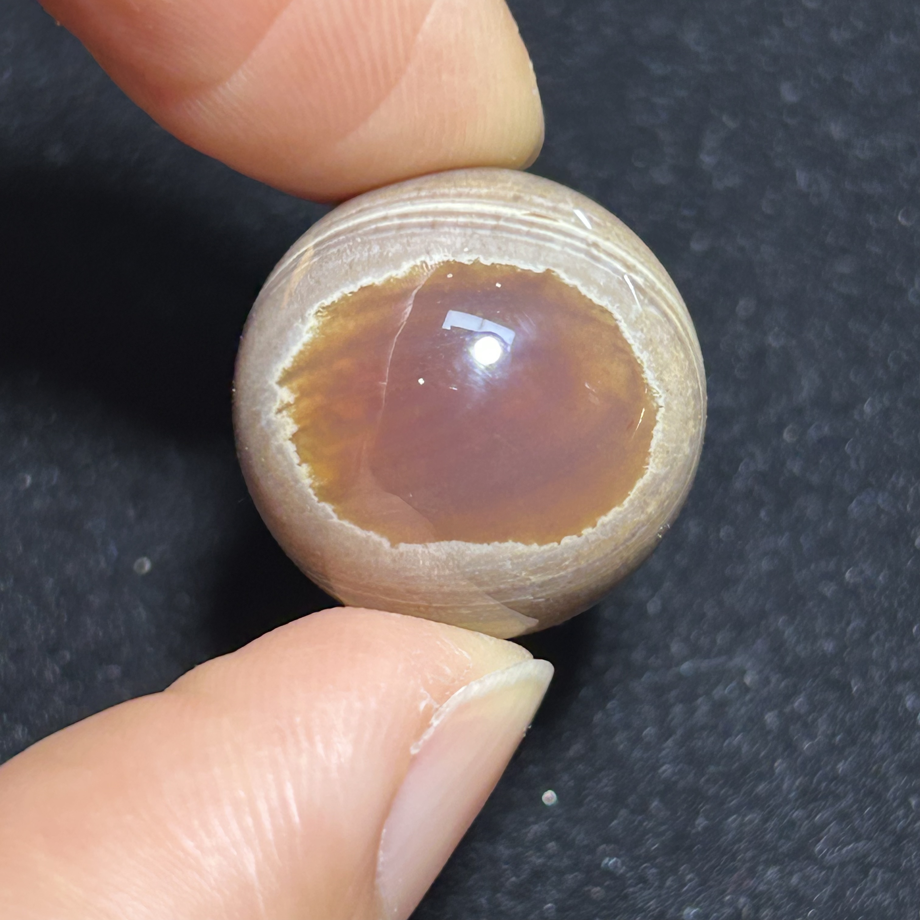 缅甸琥珀青瓷根蜡单珠18.5mm