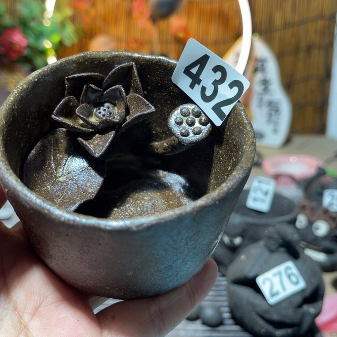 木村信弘柴烧保平