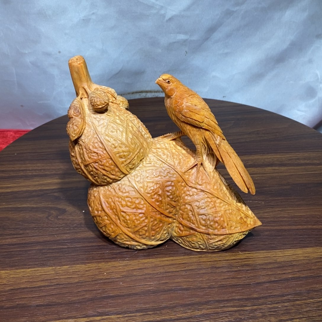 土***社柏木（崖柏）崖柏硕果累累