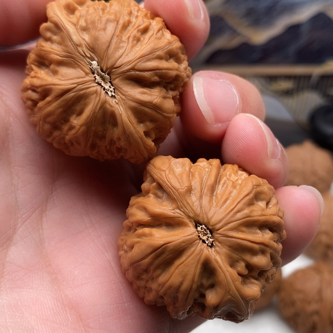 卿***姒40加尺寸铁锤妹妹精修打底