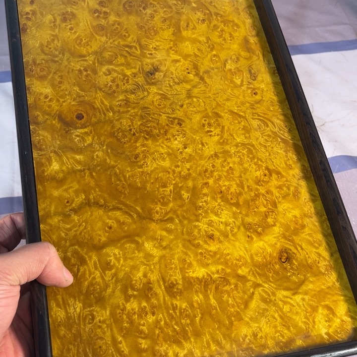 木黄金樟留疤超大托盘