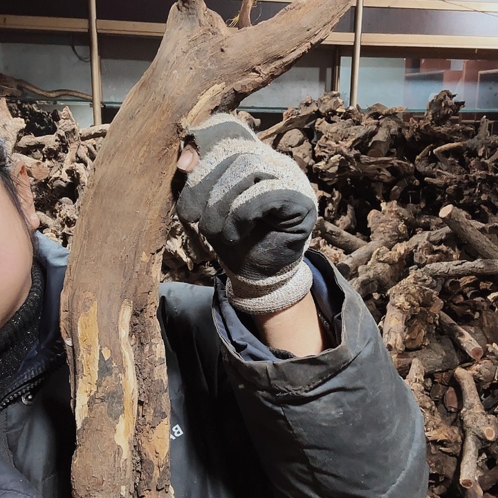 香榧木老*哥火琉璃的毛料摆件