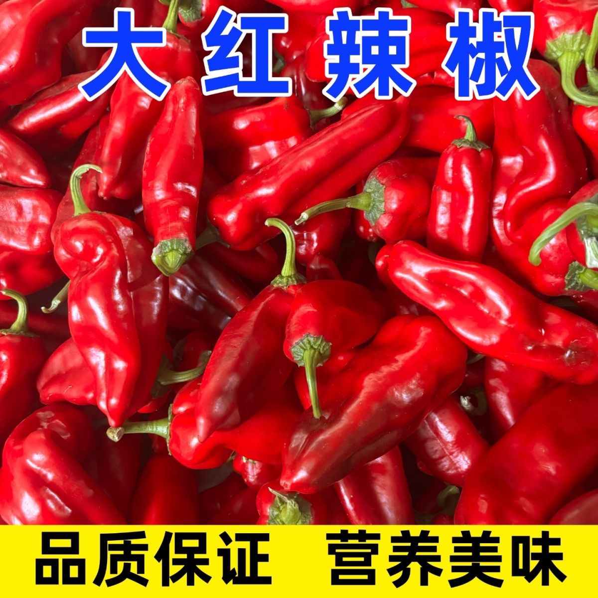 8【现摘现发】原产地花辣椒红泡椒青辣椒红线椒农家自种彩椒