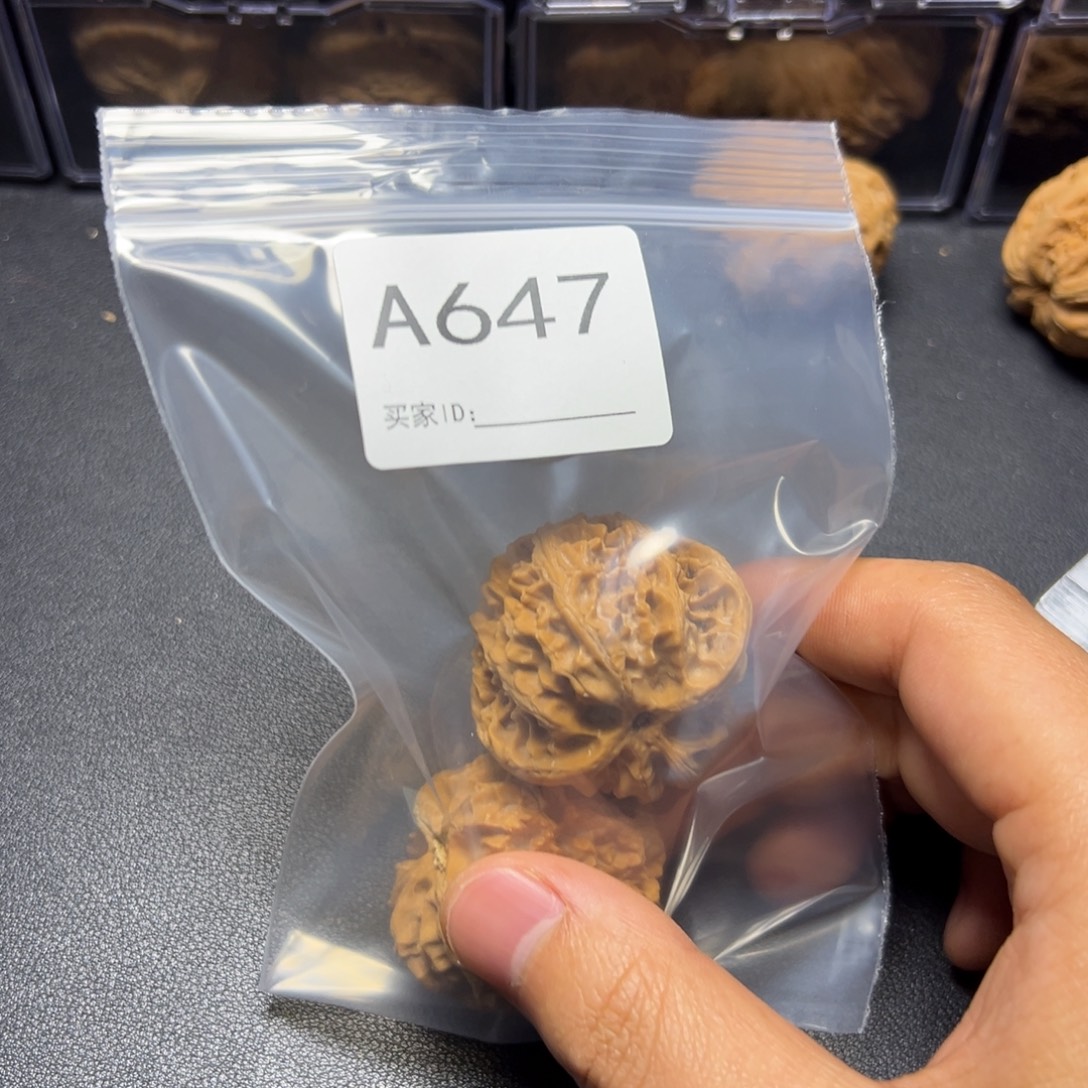 核桃把件哈哈哈哈